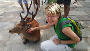 Nara's Deer